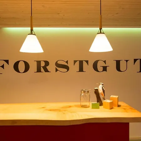 Apartment Exklusive Mit Eigener Sauna Regen